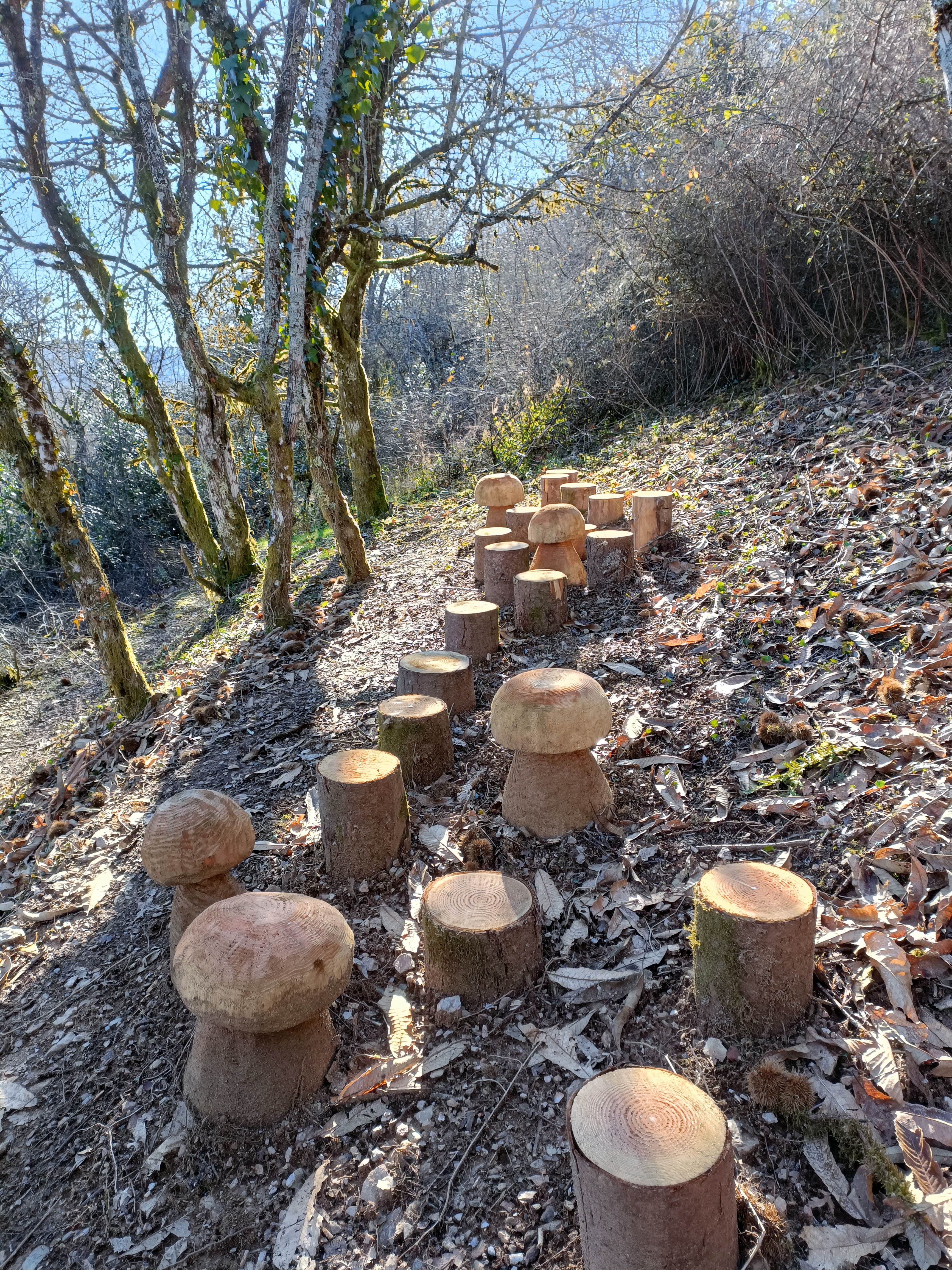 Sentier pédagogique de la Réserve naturelle régionale des coteaux du Fel